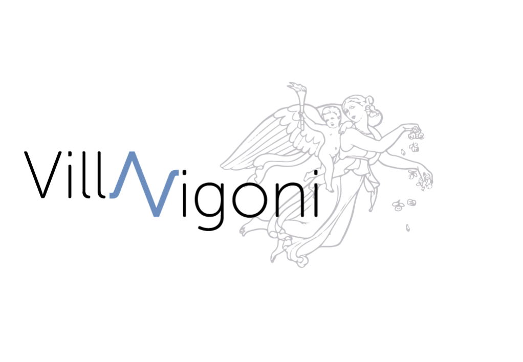 Bando &quot;Vigoni Fellowship&quot;