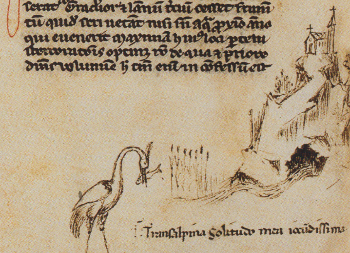 Seminario "Le postille di Petrarca alla Naturalis historia di Plinio"