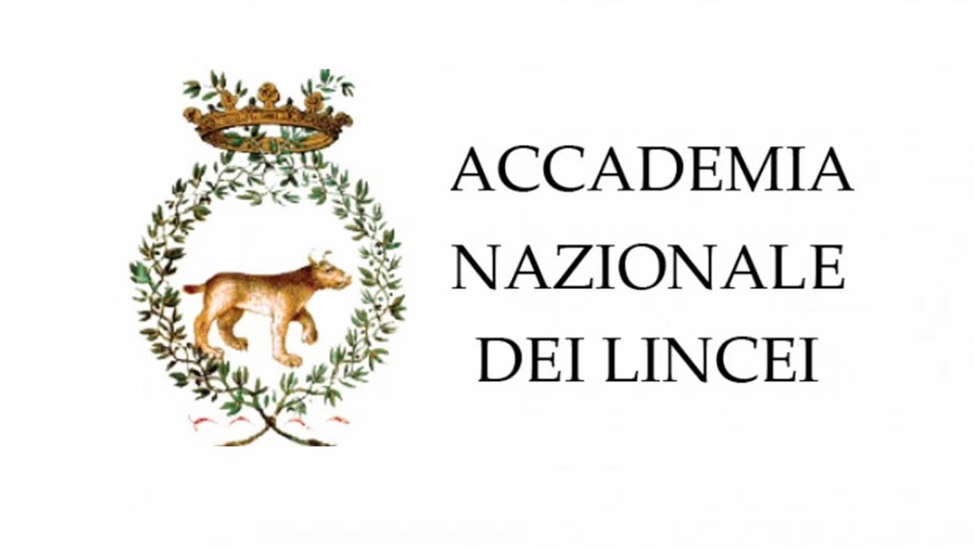 Incontri presso l&#039;Accademia Nazionale dei Lincei 8-10 marzo