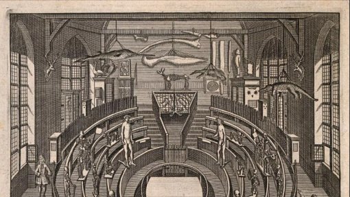 CFP per il Workshop internazionale &quot;Vedere l&#039;anatomia tra letteratura e arti&quot;