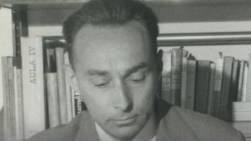 Primo Levi scrittore di lettere. Il progetto LeviNeT