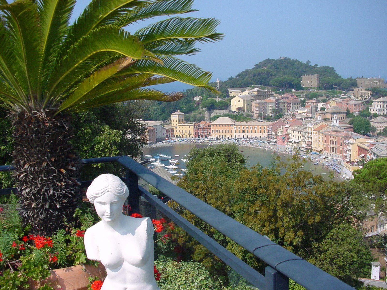 Centro di Studi sulla fortuna dell&#039;Antico - Giornata di studio (e borse)