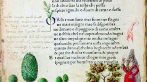 Summer School internazionale &quot;Sulle orme di Petrarca&quot;