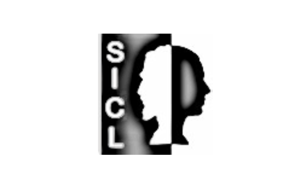 Cfp Convegno &quot;Adattamenti. Forme del narrare nei linguaggi del Graphic Novel&quot;