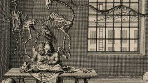 Workshop internazionale "La cultura dell'anatomia"