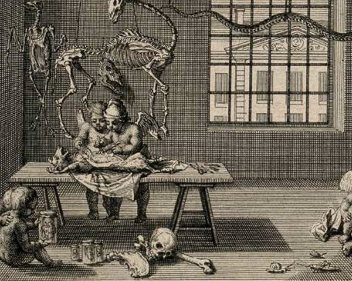 Workshop internazionale "La cultura dell'anatomia"