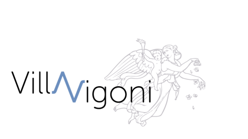 Bando &quot;Vigoni Fellowship&quot;