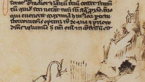 Seminario "Le postille di Petrarca alla Naturalis historia di Plinio"