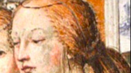 Luoghi confutativi al processo. Rinaldo de&#039; Pugliesi versus Madonna Filippa