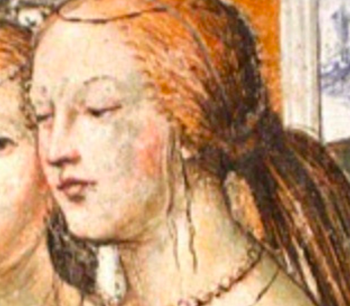 Luoghi confutativi al processo. Rinaldo de&#039; Pugliesi versus Madonna Filippa