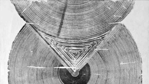 Cfp Convegno internazionale &quot;I A(M)&quot;